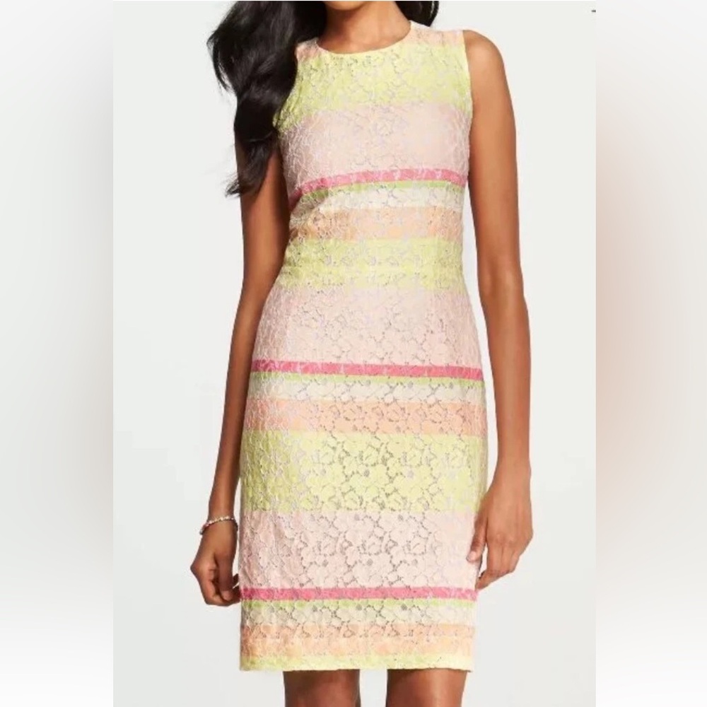 Ann Taylor Lace Sheath Dress Pink‎ Yellow Stripe Sleeveless Women’s Size 8 NWT
